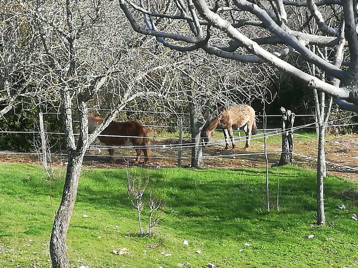 Studio Gard Calme Et Nature Russan Bagian luar foto