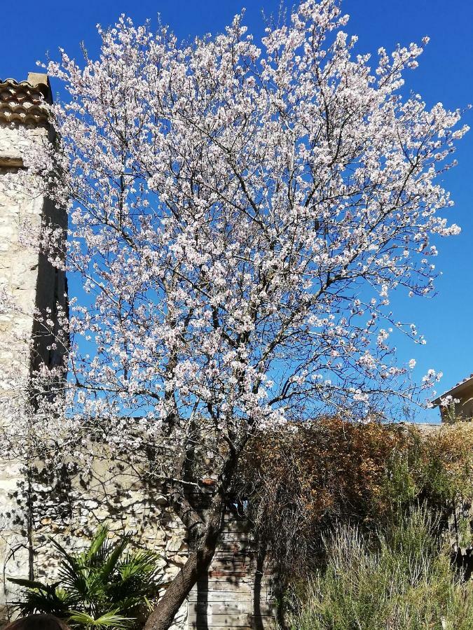 Studio Gard Calme Et Nature Russan Bagian luar foto